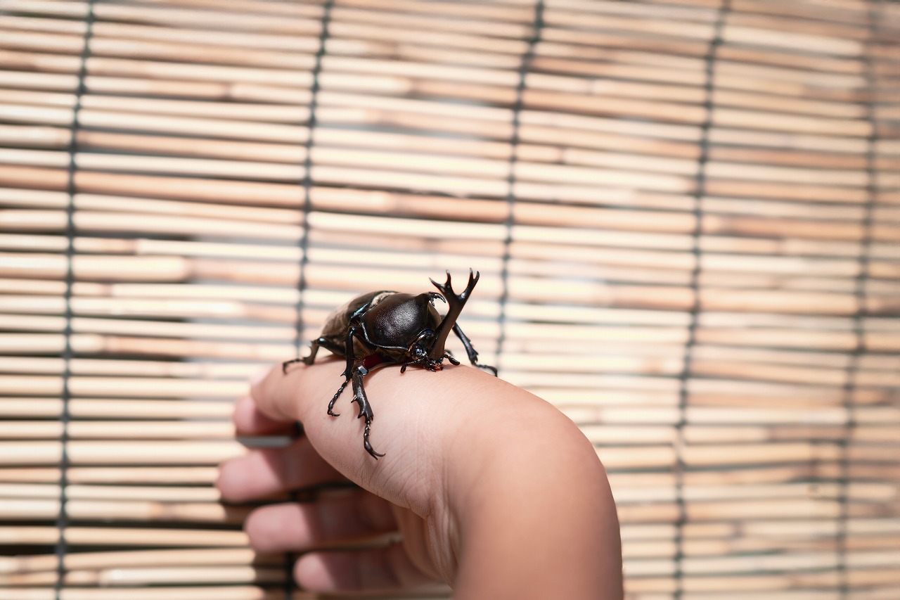 AdobeStock_1377582294