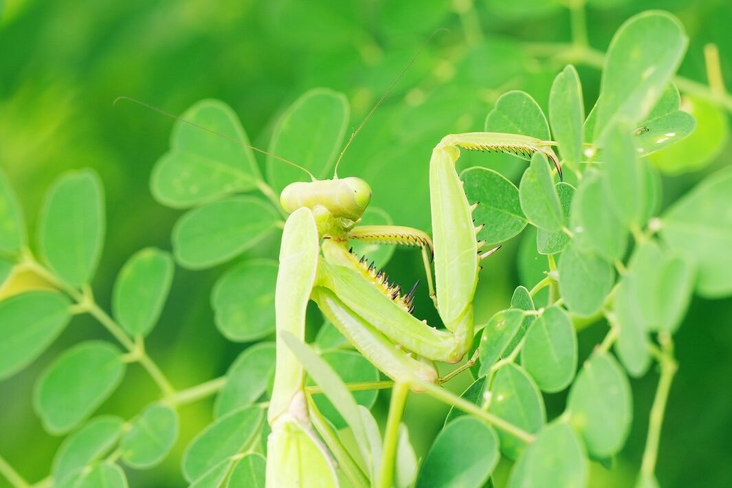AdobeStock_1546095247