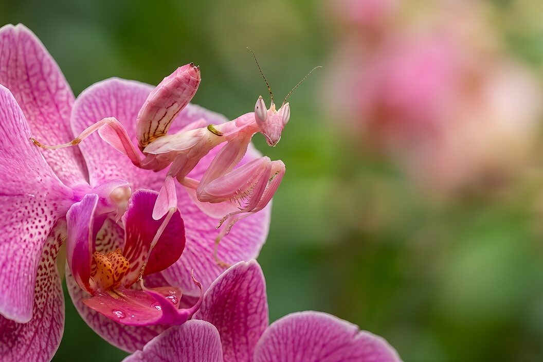 AdobeStock_2021399847