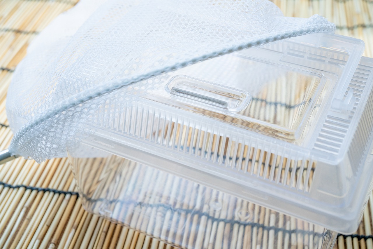 AdobeStock_356995371