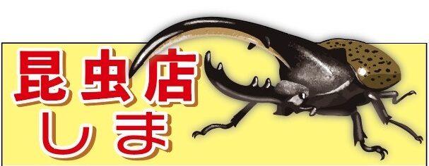 提供画像