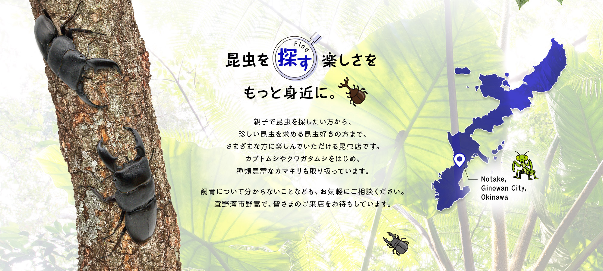 secondmain_bg